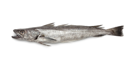 afric mare ocean s.r.l